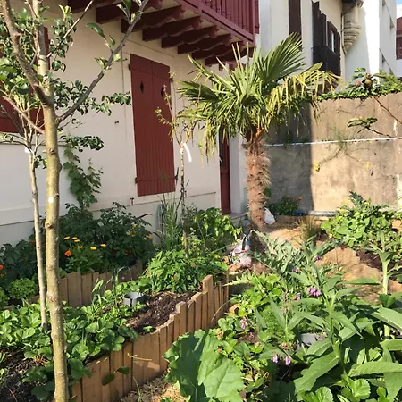 Terrasse Apartamento